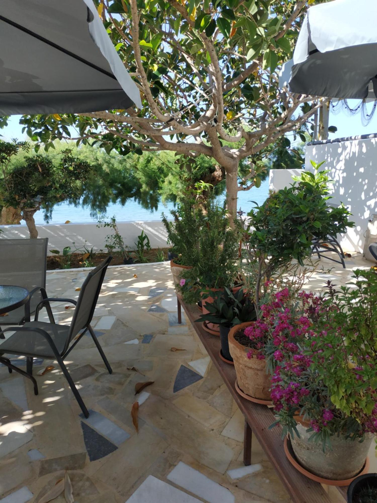 Creta Sun Apartments Μακρύγιαλος Εξωτερικό φωτογραφία