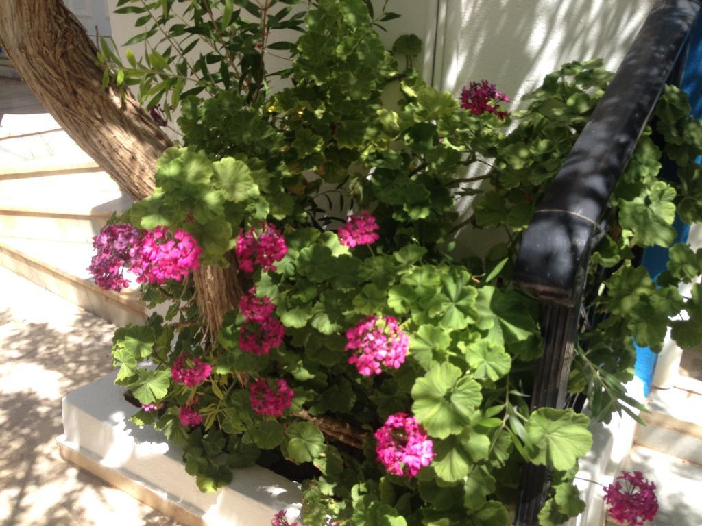 Creta Sun Apartments Μακρύγιαλος Εξωτερικό φωτογραφία